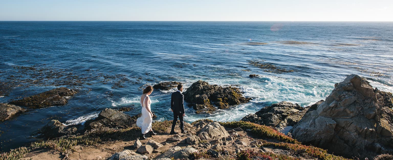 Couple overlooking the Pacific at Big Sur wedding
