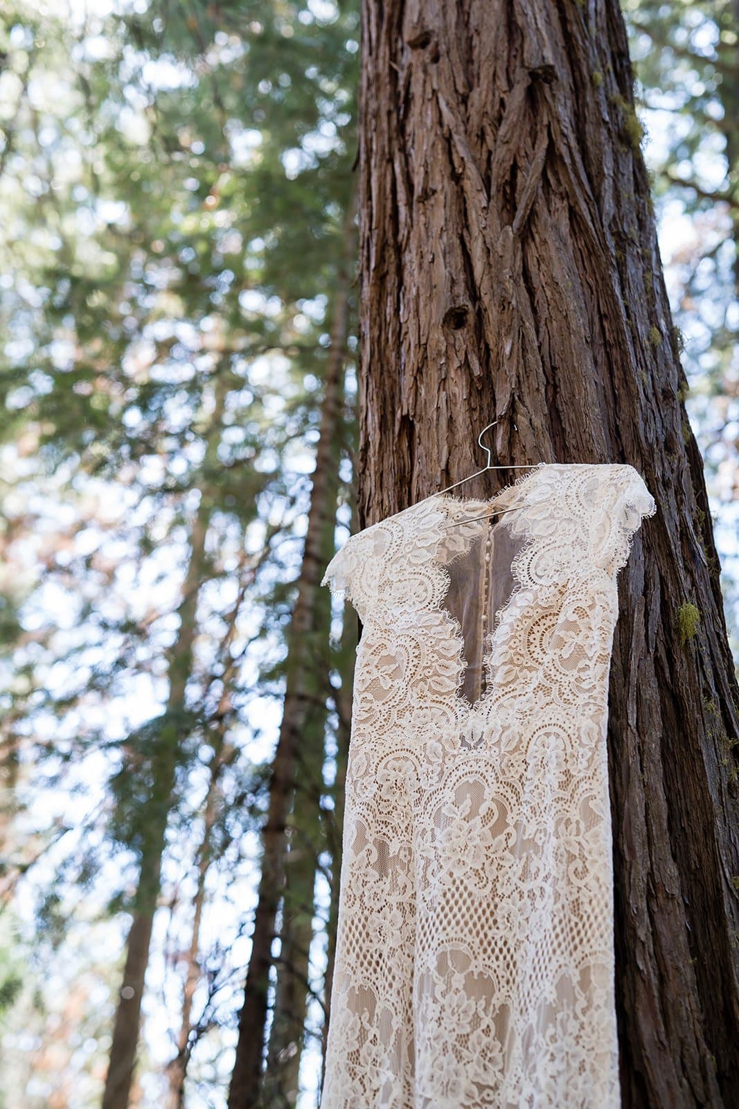 Lake Tahoe micro wedding photo 2