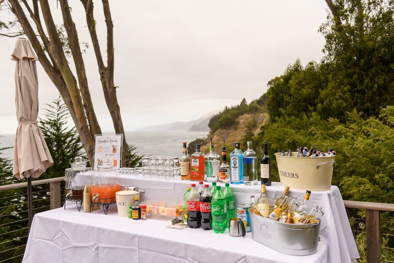Big Sur micro wedding photo 2