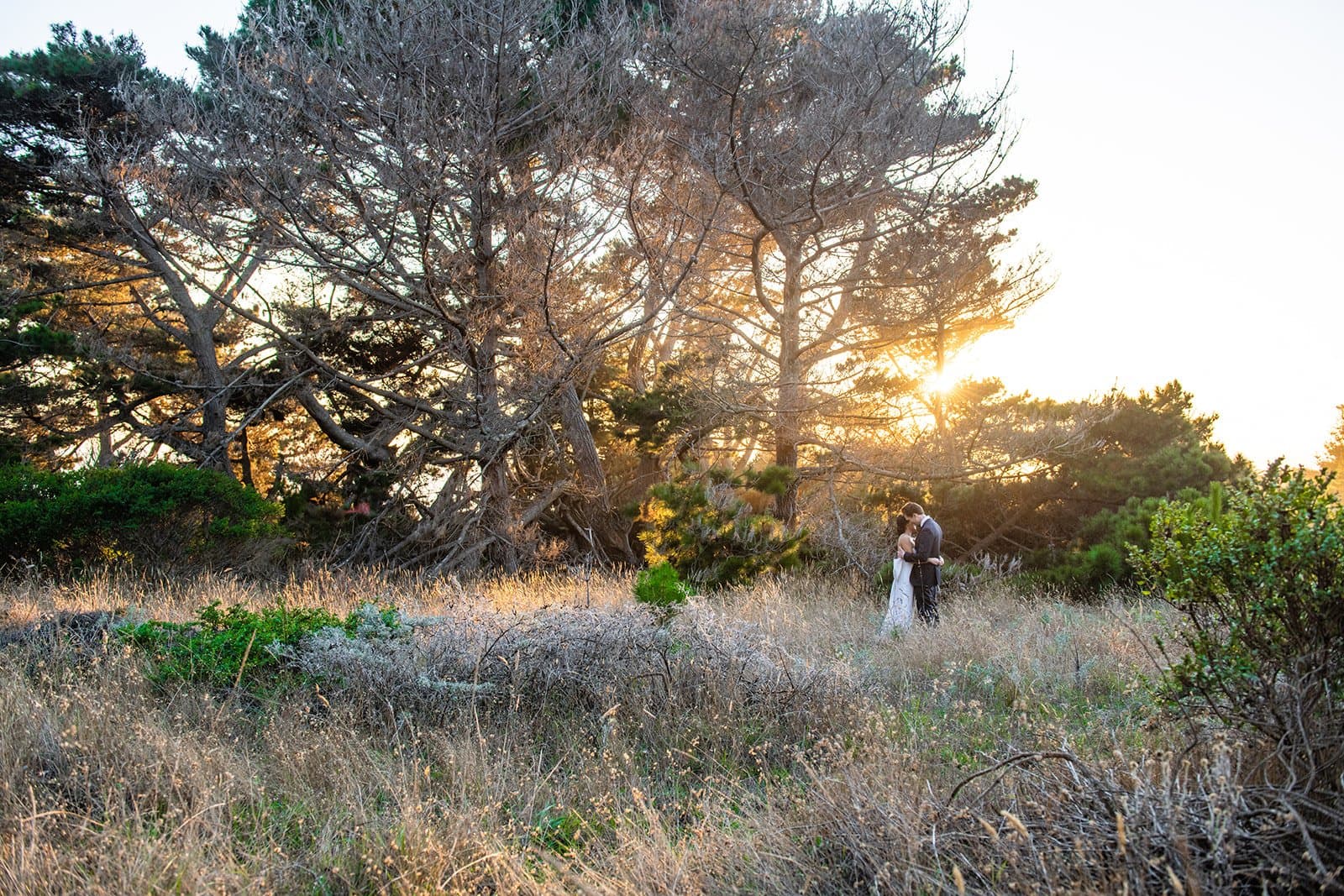 A small wedding at a Northern California venue