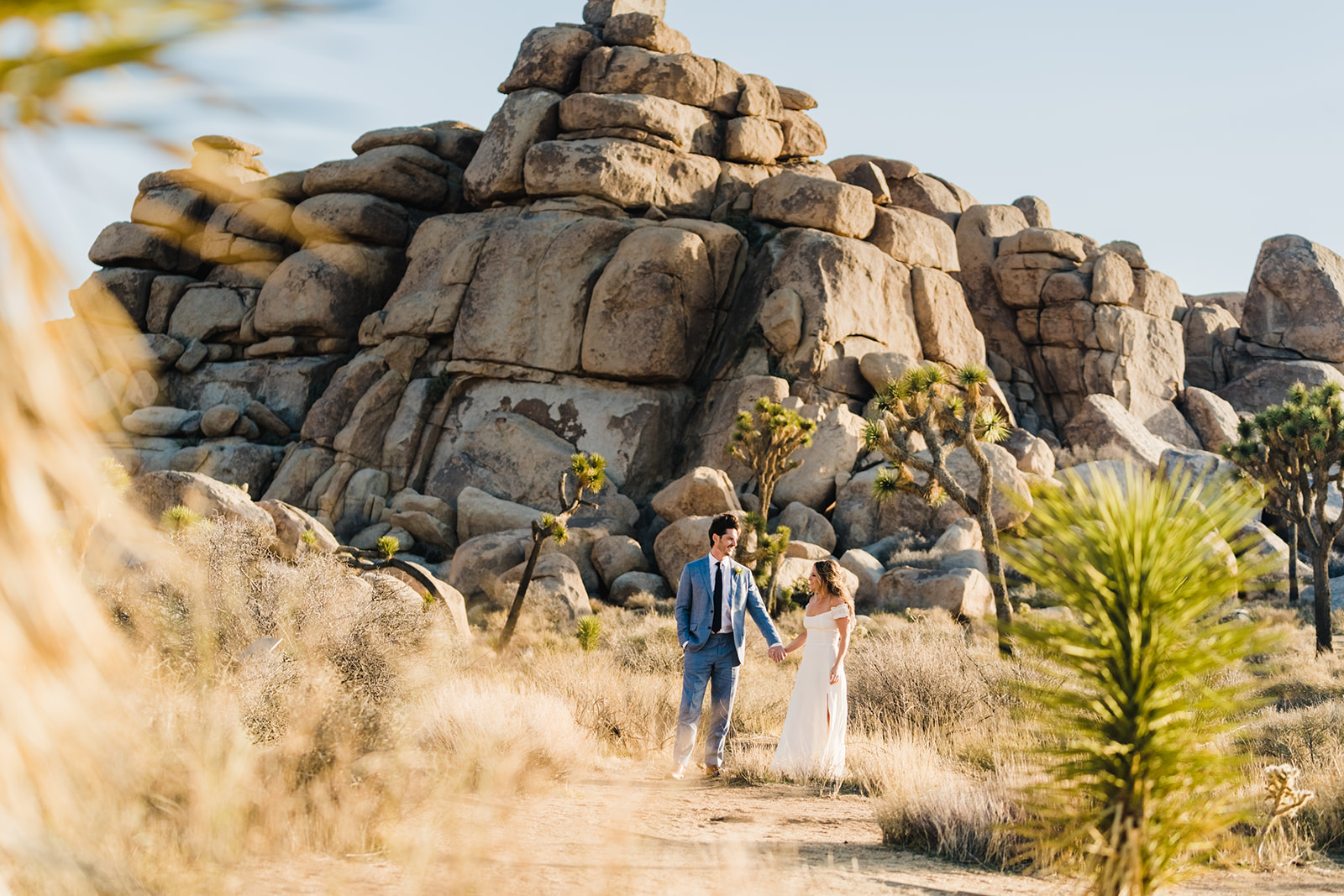 Desert wedding couple among Joshua Trees near Palm Springs