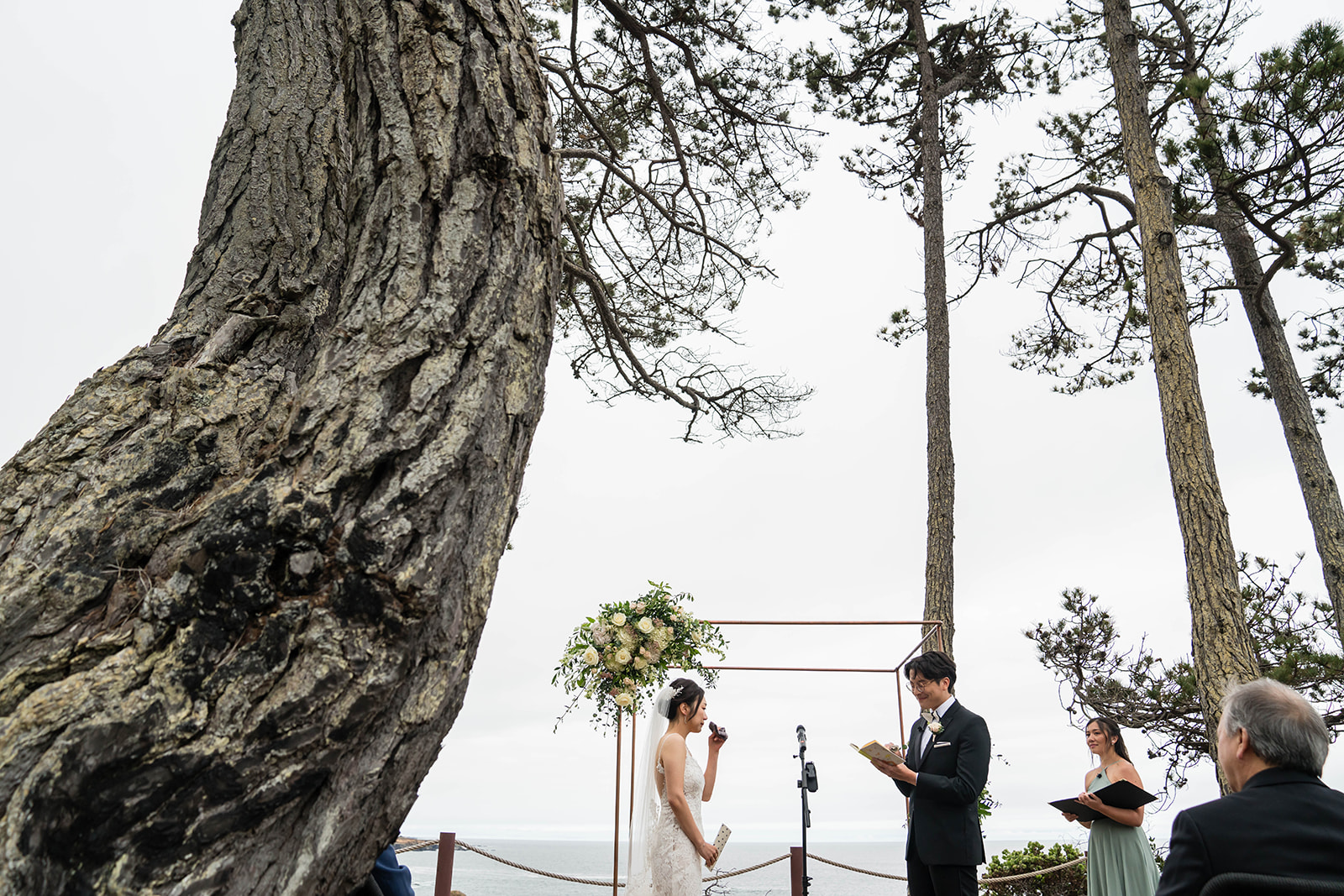 Mendocino wedding celebration